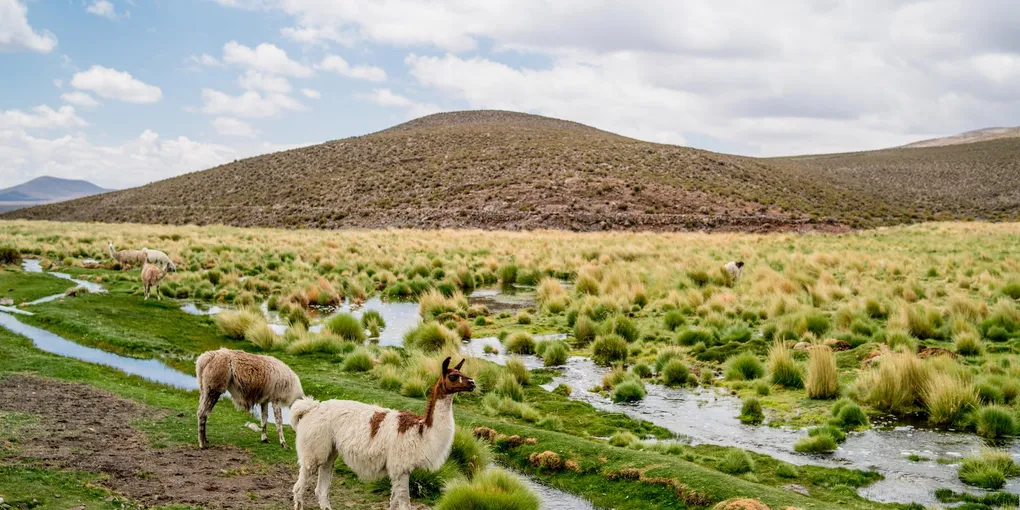 Ein spezialisiertes LIMS für ein spezielles Institut