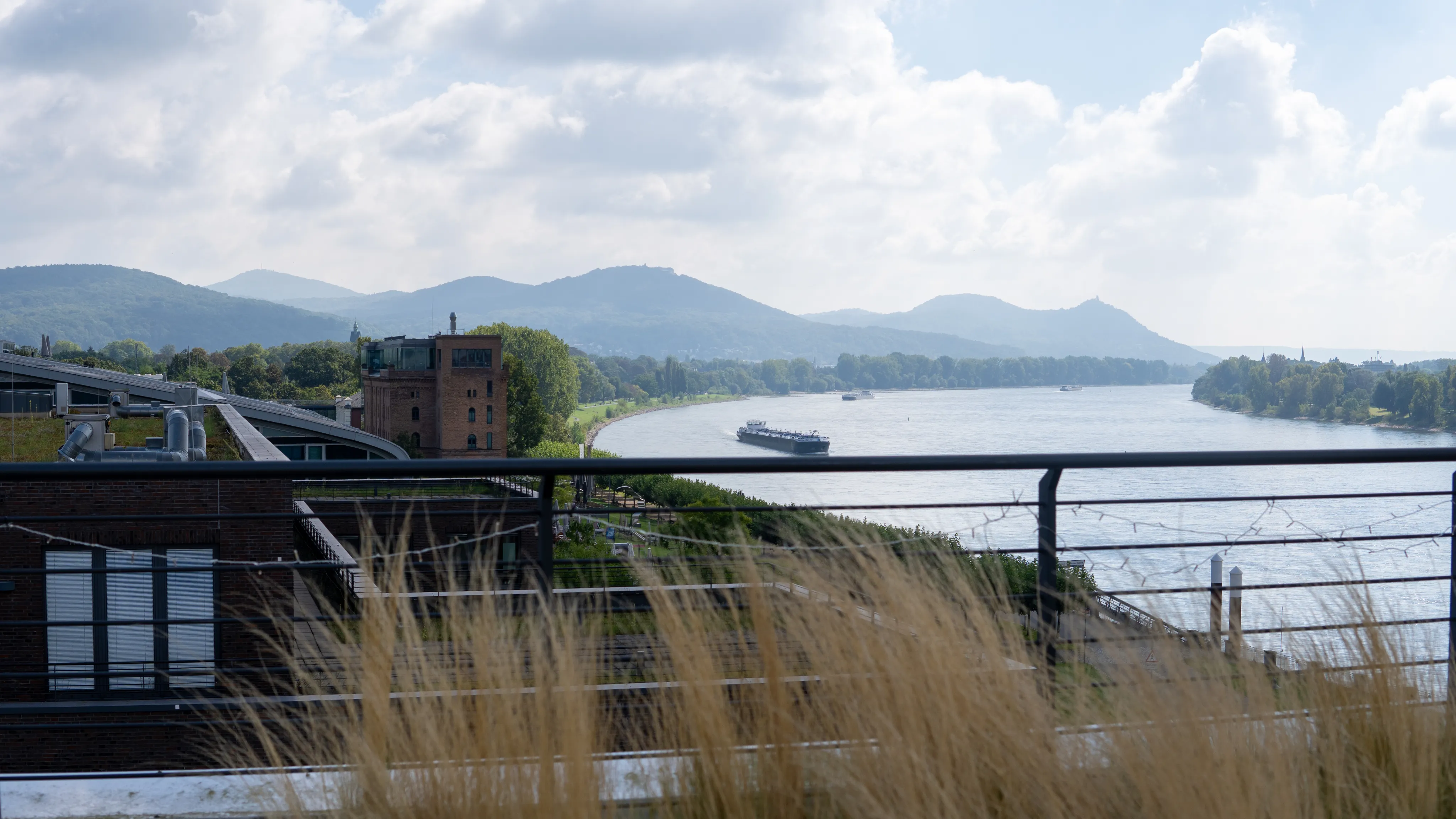 Blick auf den Rhein von der Dachterrasse